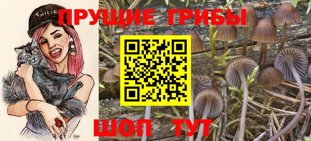 Галлюциногенные грибы мухоморы  Вход с VPN  Черкесск  Псилоцибиновые грибы GOLDEN TEACHER 