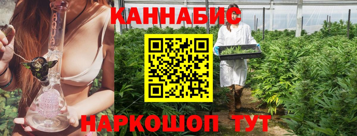Бошки Шишки конопля  Вход с VPN  Черкесск  Конопля Bruce Banner 